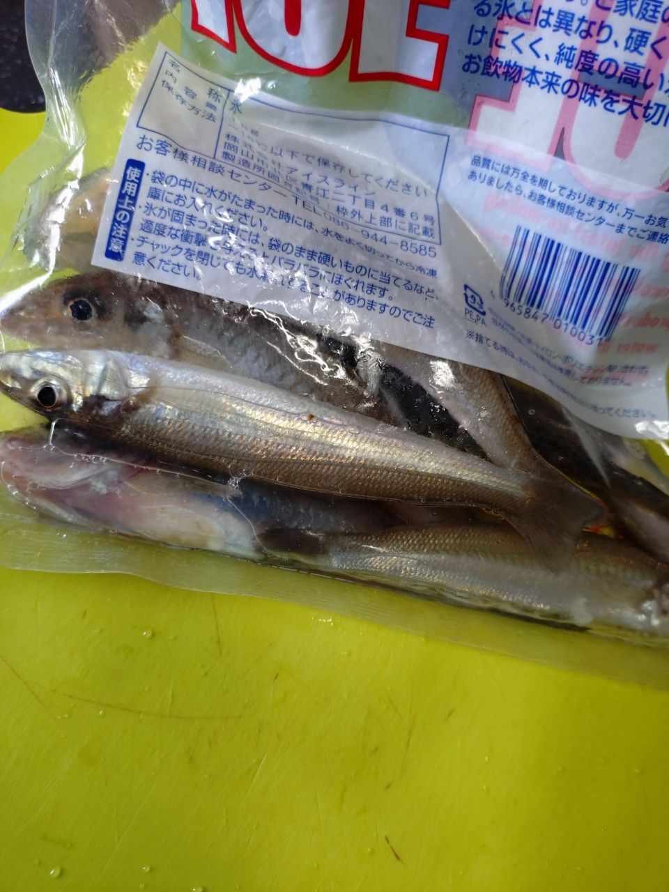 サヨリ