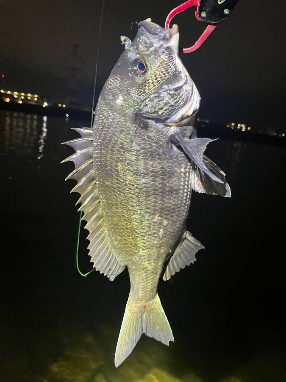 SHIMANO 18ディアルーナ S100Mの最安値・インプレ・釣果 | 本音