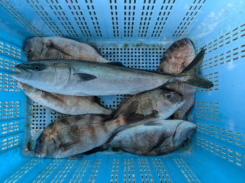 九十九里海釣センター