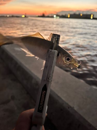 中島埠頭