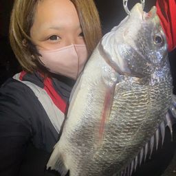 キビレ