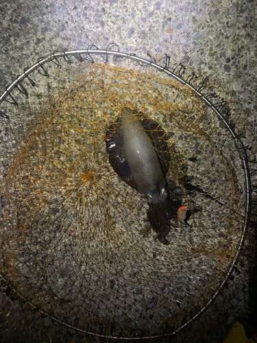 通り矢