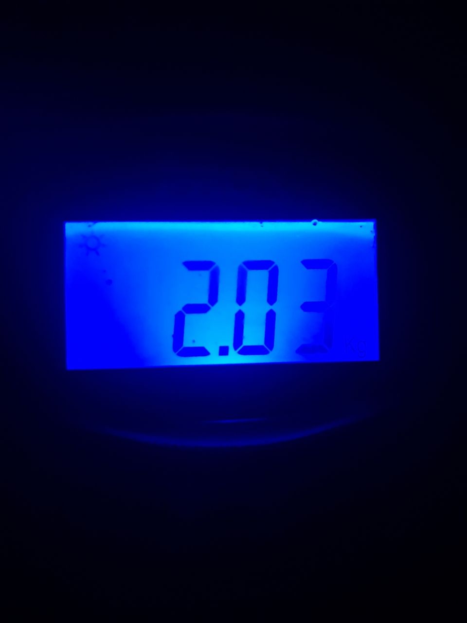 ブラックバス