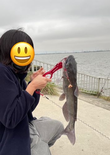 外浪逆浦