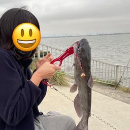 チャネルキャットフィッシュ