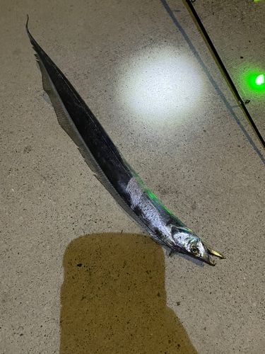 金沢プール前