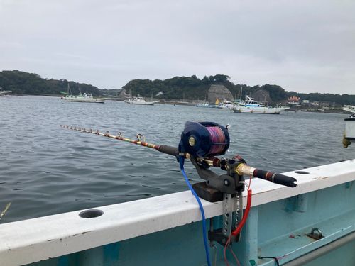 キハダマグロの釣果
