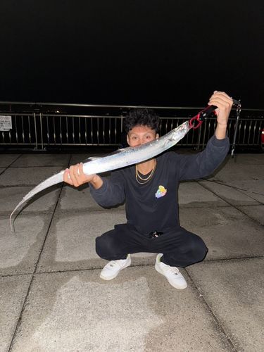 タチウオの釣果