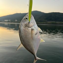 メッキ