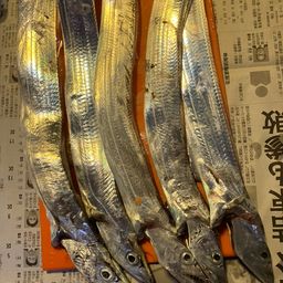 タチウオ