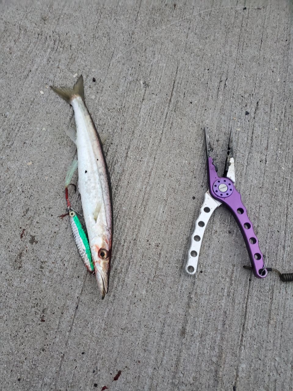 SHIMANO 22コルトスナイパーSS LSJ S100MLの最安値・インプレ