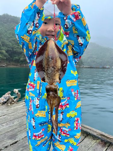 釣果
