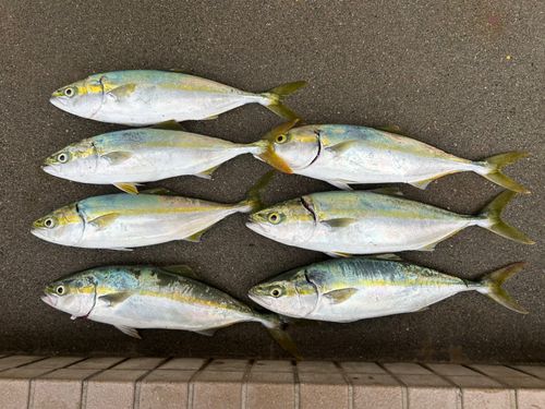 新居海釣公園
