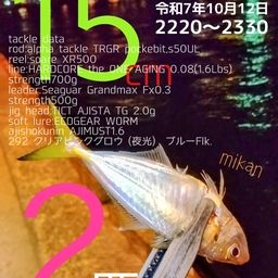 アジ