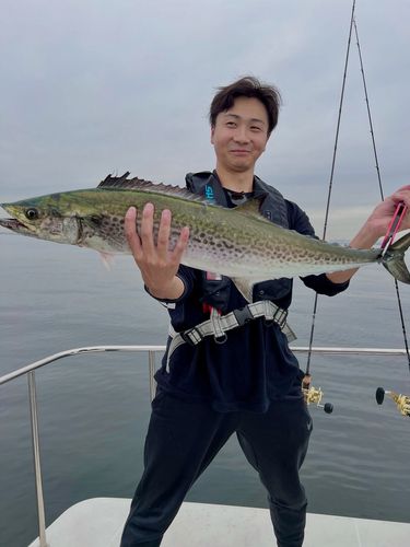 東京湾湾奥