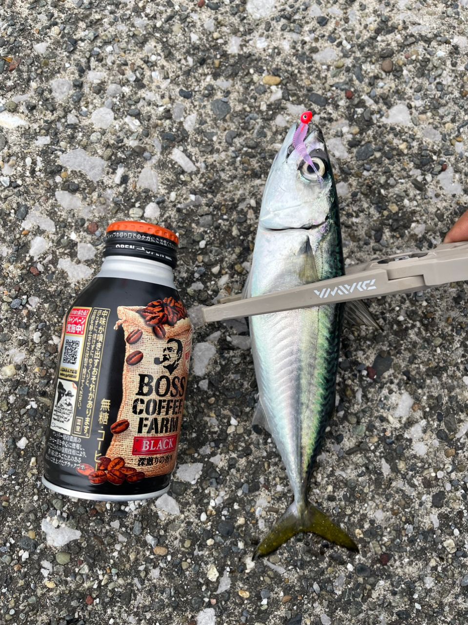 OLYMPIC 23コルト UX 23GCORUS-482UL-HSの最安値・インプレ