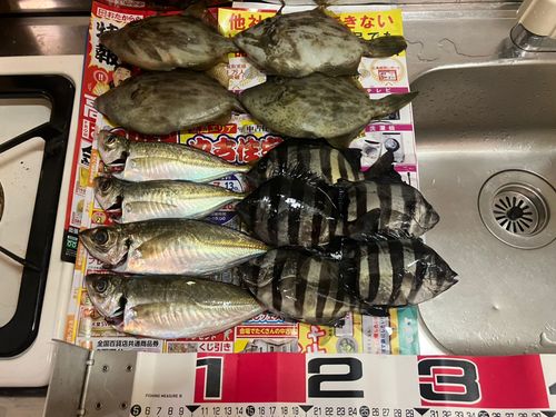 周防大島（屋代島）