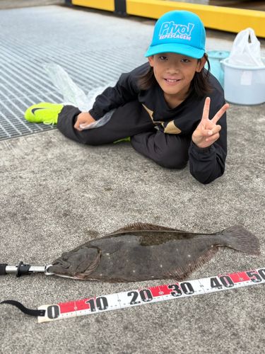 ヒラメの釣果