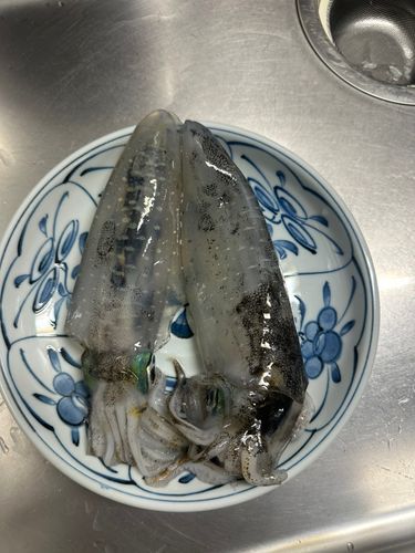 播磨灘