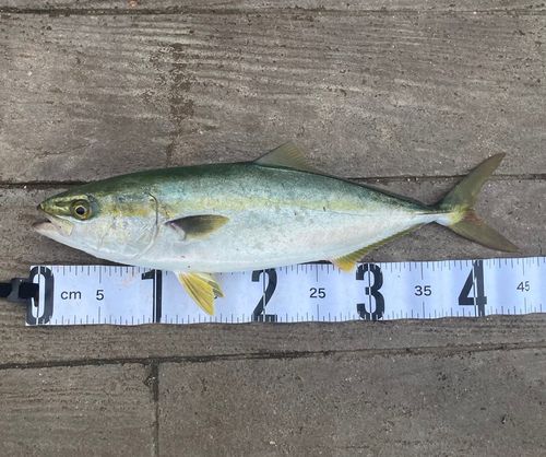 海辺つり公園