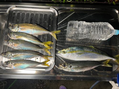 遠州灘