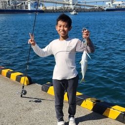 ヤズ