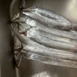 タチウオ