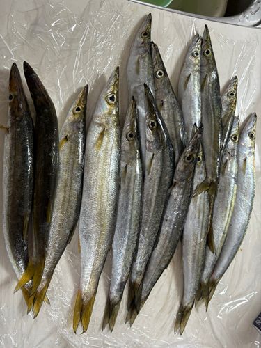熱海港