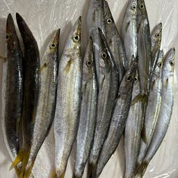 カマス