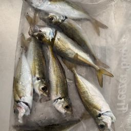 アジ