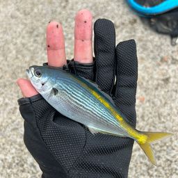 タカベ