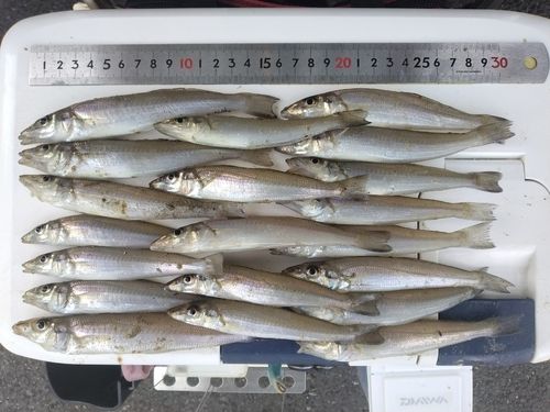 表浜名湖