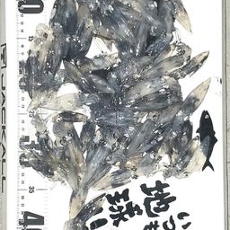 ヒイカ