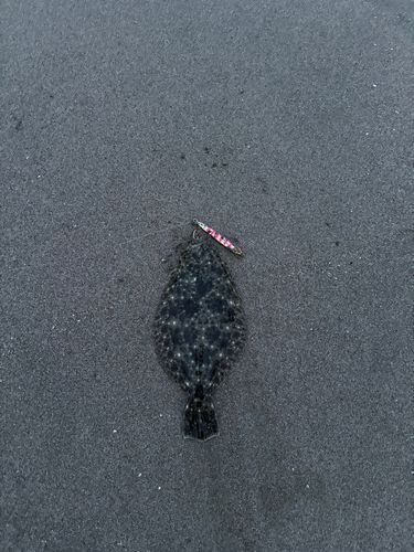 三浦海岸