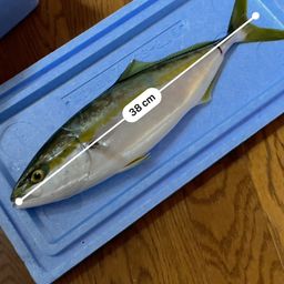 ツバス