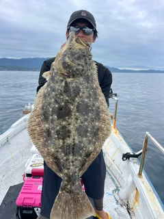 ヒラメの釣果