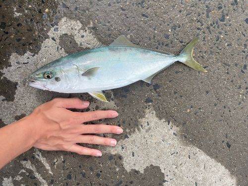 江ノ島裏磯