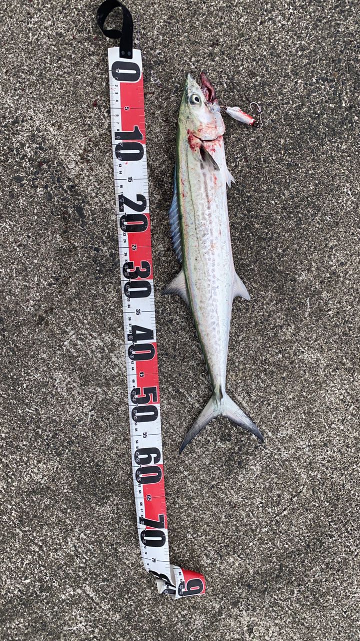 20ヴァンフォード4000XG シマノ ヴァンフォード 4000XG (リール) 価格比較 - 価格.com