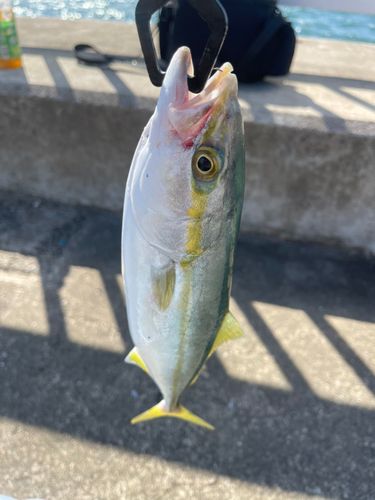 大浜地区ふれあい広場