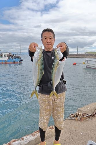 ハマチの釣果