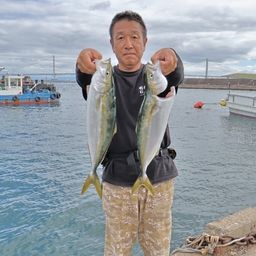 ハマチ