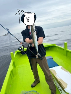 サワラの釣果