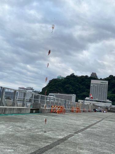 ネンブツダイの釣果