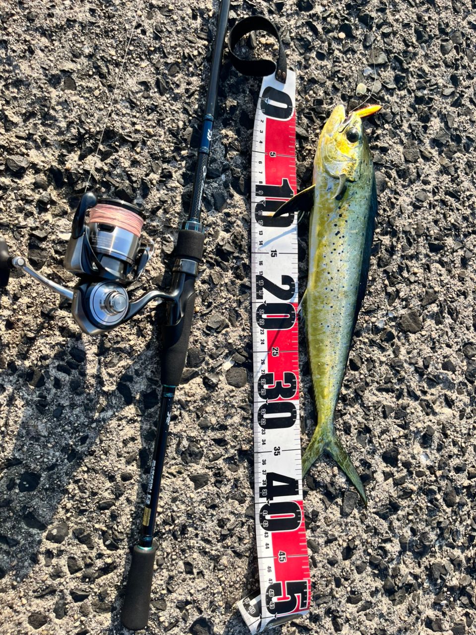 DAIWA 20エメラルダス AIR AGS 83MLの最安値・インプレ・釣果