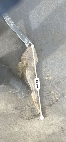 県北サーフ