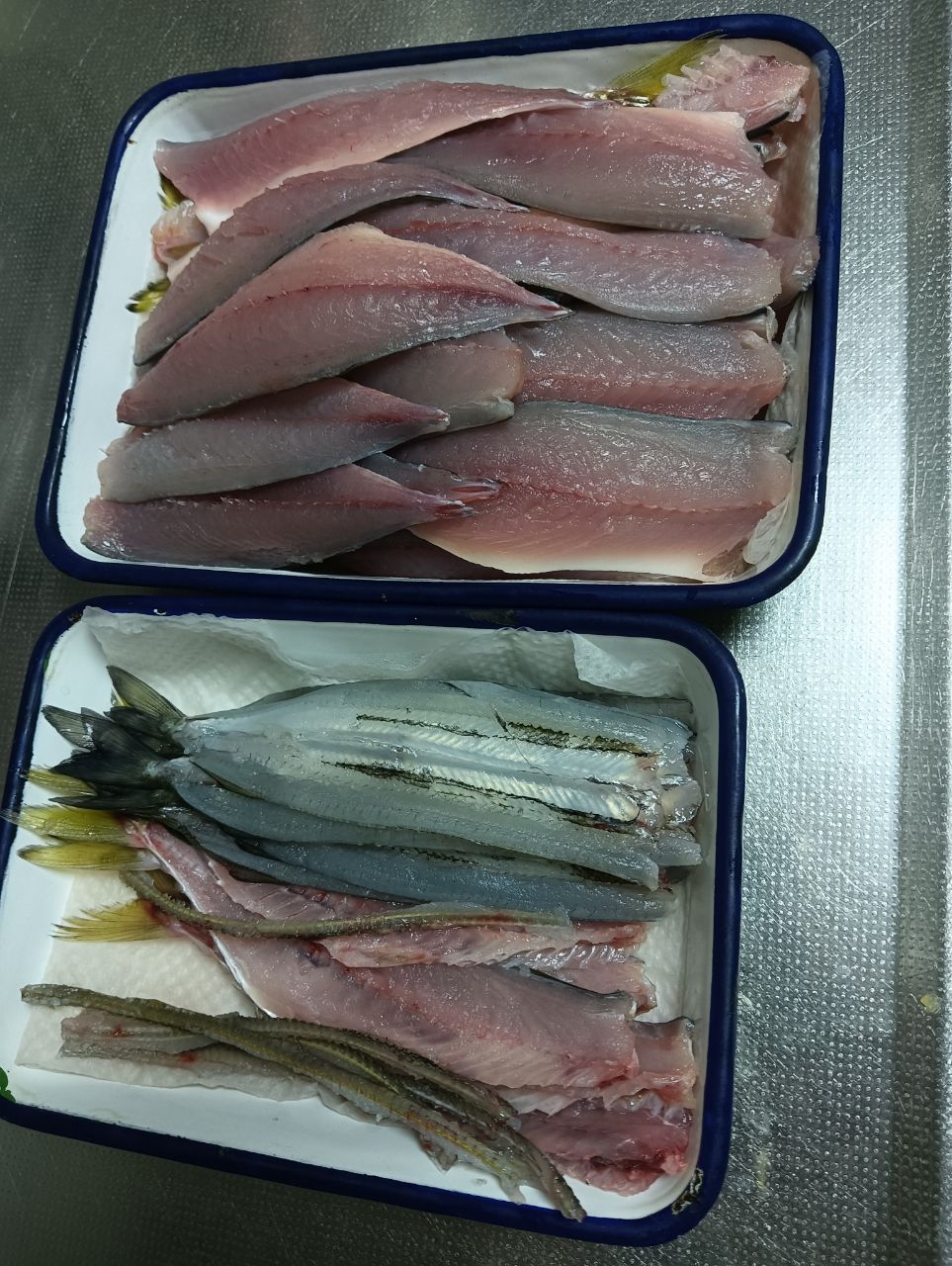 サヨリ