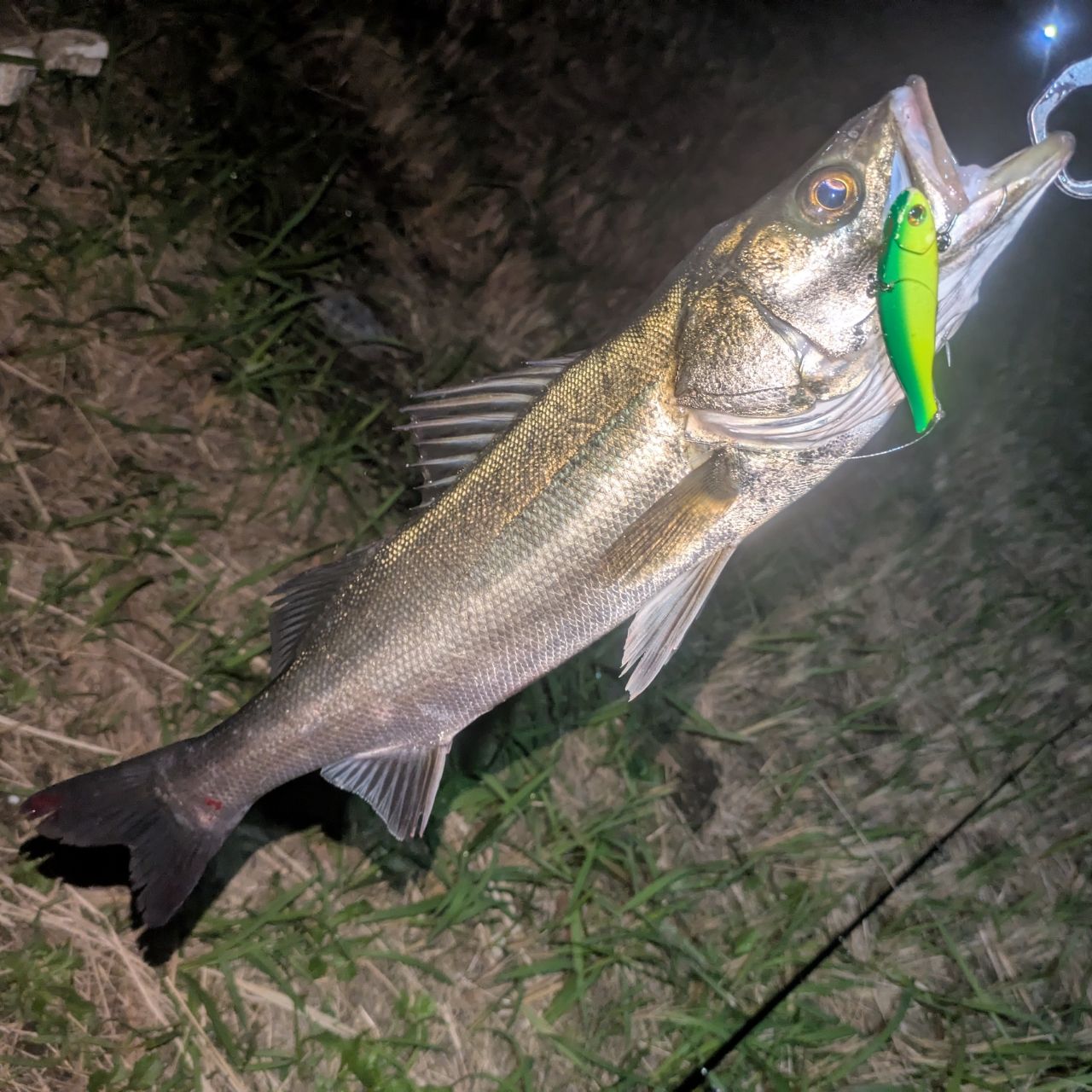 ダイワ モバイルパック967TMHS DAIWA 14モバイルパック 967TMHSの最安値・インプレ・釣果