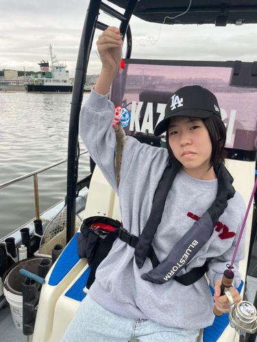ハゼの釣果