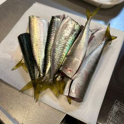 サバ