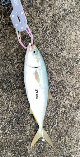 岩戸漁港